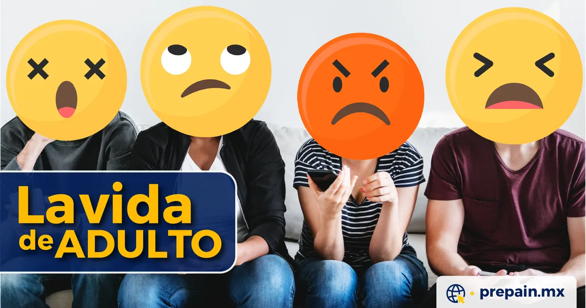 La vida de adulto